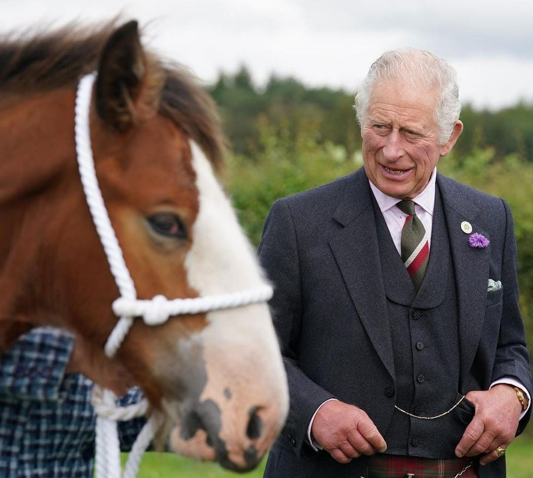 Raja Charles Terkena Kanker, Pangeran Harry Dikabarkan Mudik Ke Inggris